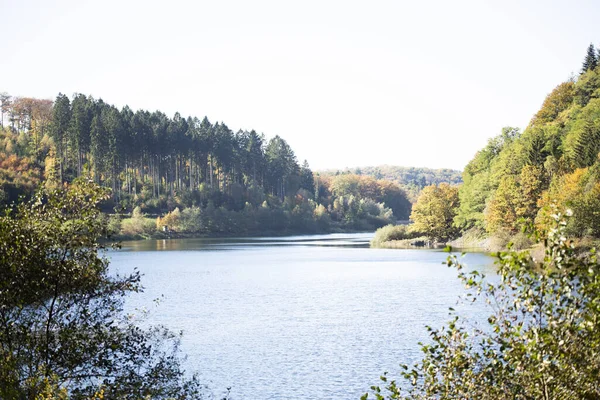 木々に囲まれた穏やかな湖の魅惑的な景色 — ストック写真