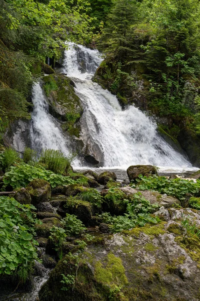 Colpo Verticale Della Bellissima Cascata Triberg Nella Foresta Nera Catturata — Foto Stock