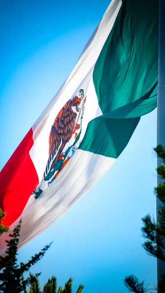 Disparo Vertical Bandera México Sobre Fondo Azul Del Cielo — Foto de Stock