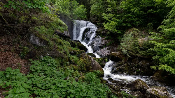 Lélegzetelállító Triberg Vízesés Németországi Fekete Erdőben — Stock Fotó