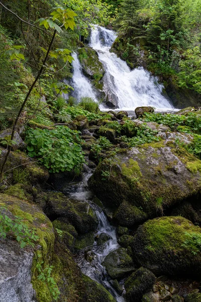 Eine Vertikale Aufnahme Des Herrlichen Triberger Wasserfalls Schwarzwald Aufgenommen Deutschland — Stockfoto