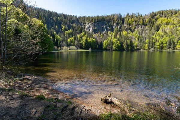 Неповторний Вид Озера Фельдбергєй Захопленого Біля Чорного Лісу Німеччина — стокове фото