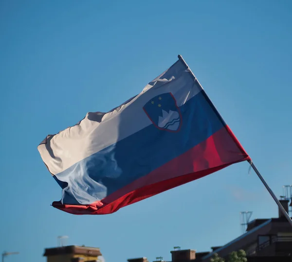 Vertikální Záběr Státní Vlajku Slovinska Vlnící Větru — Stock fotografie