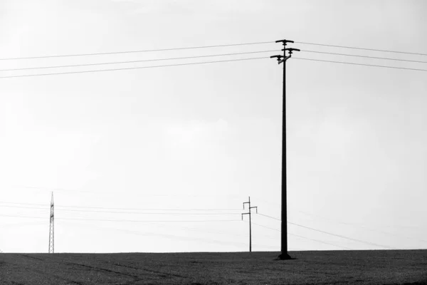 Imagem Cuidadosamente Composta Rede Elétrica Horizonte Preto Branco — Fotografia de Stock