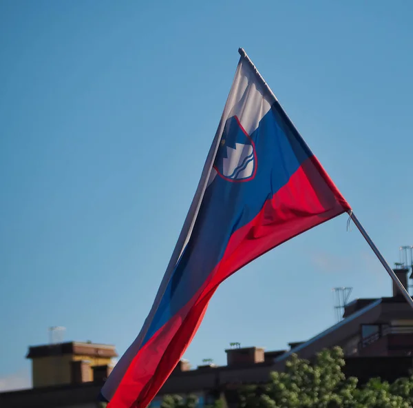 Disparo Vertical Bandera Nacional Eslovenia Ondeando Viento — Foto de Stock
