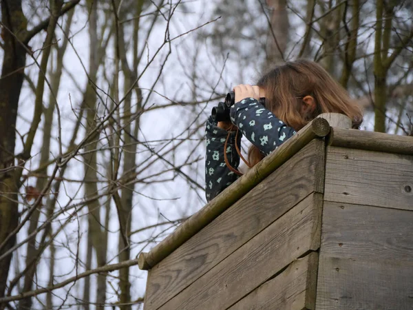 Nízký Úhel Záběru Ženy Dalekohledem Hledící Lesa — Stock fotografie