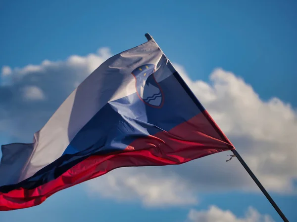 Slovinská Národní Vlajka Vlnící Větru — Stock fotografie