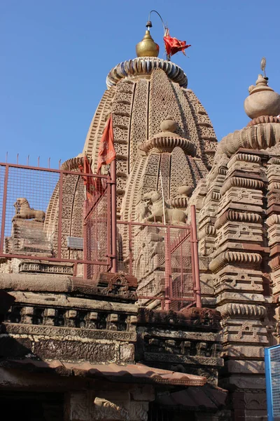 Vertikální Snímek Slavného Chrámu Lingaraja Indii — Stock fotografie