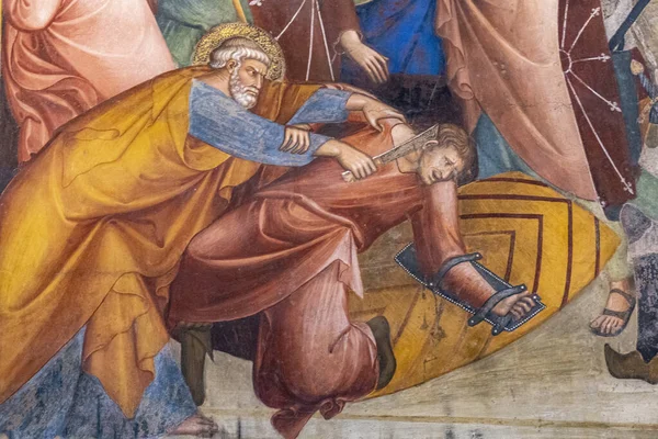 Religious Art Interior Ceiling Collegiate Church Santa Maria Assunta Italy — Stock Photo, Image