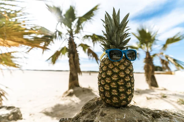 Забавное Фото Ананаса Солнцезащитными Очками Скале Песчаном Тропическом Пляже Пальмами — стоковое фото