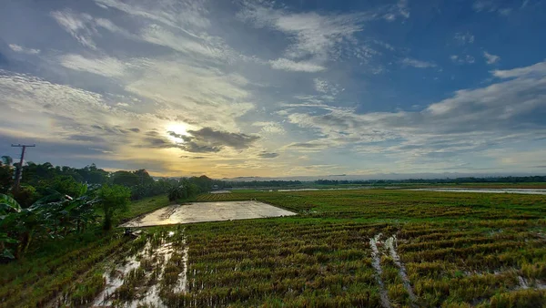 Scenic View Rice Paddy Field Cloudy Sky Nueva Ecija Philippines — Stock Photo, Image