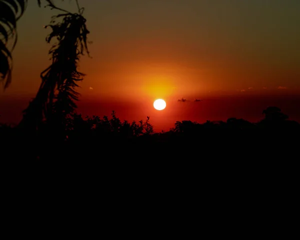 Een Prachtig Landschap Van Zon Die Boven Een Bos Silhouet — Stockfoto