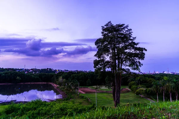 Vacker Utsikt Över Träden Ett Fält Bontang East Kalimantan Indonesien — Stockfoto