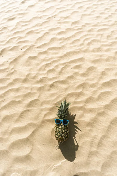 Una Divertida Foto Una Piña Con Gafas Sol Tumbada Una — Foto de Stock