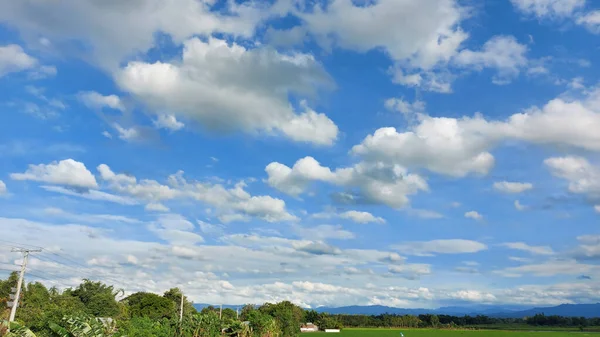Krásná Scenérie Rýžového Pole Pod Zataženou Oblohou Nueva Ecija Filipínách — Stock fotografie