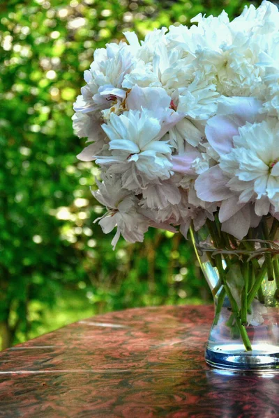 Primo Piano Mazzo Fiori Bianchi Armeria Vaso Vetro — Foto Stock