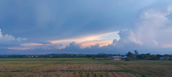 Bela Paisagem Arrozal Sob Céu Nublado Nueva Ecija Filipinas — Fotografia de Stock