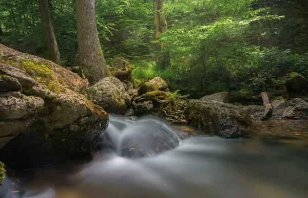 Detailní Záběr Krajiny Malým Vodopádem Lese — Stock fotografie