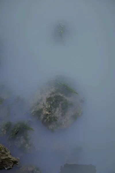 Vertical Shot Foggy Landscape — Stock Photo, Image