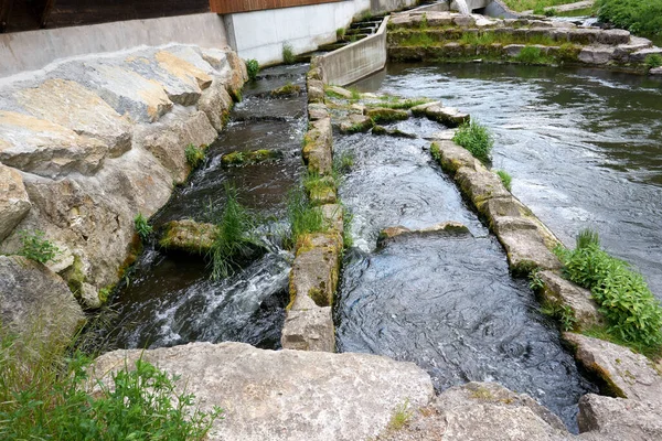 岩や緑に囲まれた川の流れの高角度ショット — ストック写真