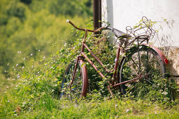 Old Bicycle Parked Weathered Building Surrounded Plants Wildflowers — Foto de Stock