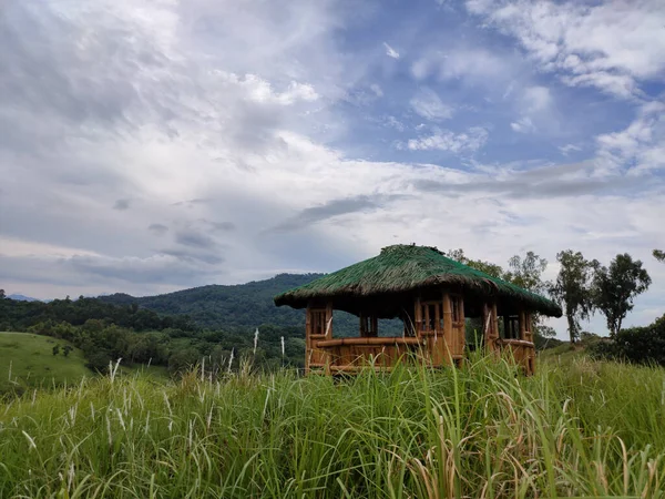 Une Cabane Bois Avec Hautes Herbes Vertes Sur Une Colline — Photo