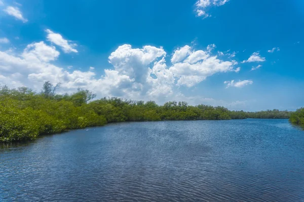 Beautiful Shot Sea Daytime — Stock Photo, Image