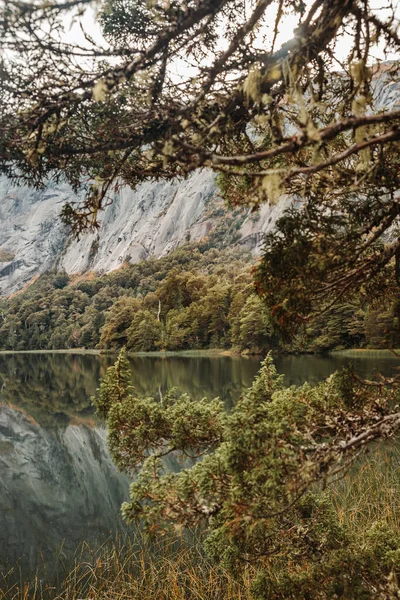 Plan Vertical Forêts Sauvages Réfléchies Sur Lac — Photo