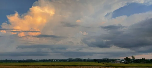 Uma Vista Panorâmica Arrozal Sob Céu Nublado Nueva Ecija Filipinas — Fotografia de Stock