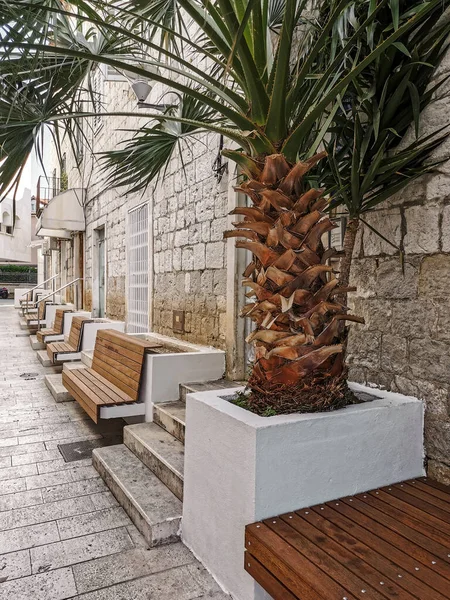 Empty City Street Stone Houses Benches Palm Trees — Φωτογραφία Αρχείου