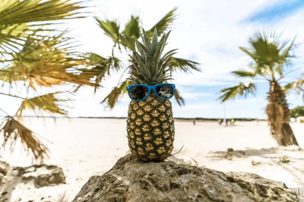 Забавное Фото Ананаса Солнцезащитными Очками Скале Песчаном Тропическом Пляже Пальмами — стоковое фото