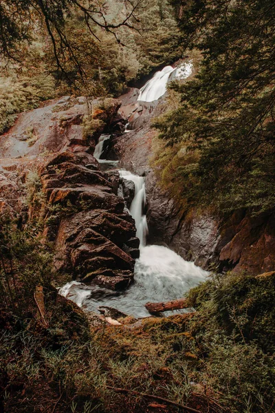 Vertical Shot Stream Flowing Nahuel Huapi National Park Argentina — Fotografia de Stock
