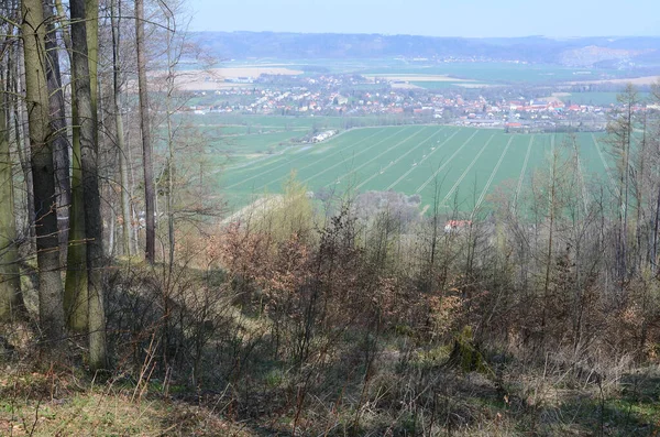 Blick Von Einem Wald Auf Wiesen Der Nähe Einer Stadt — Stockfoto