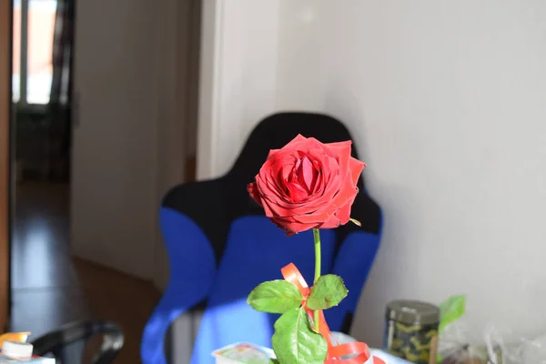 Tiro Seletivo Foco Uma Rosa Vermelha Mesa Uma Sala — Fotografia de Stock