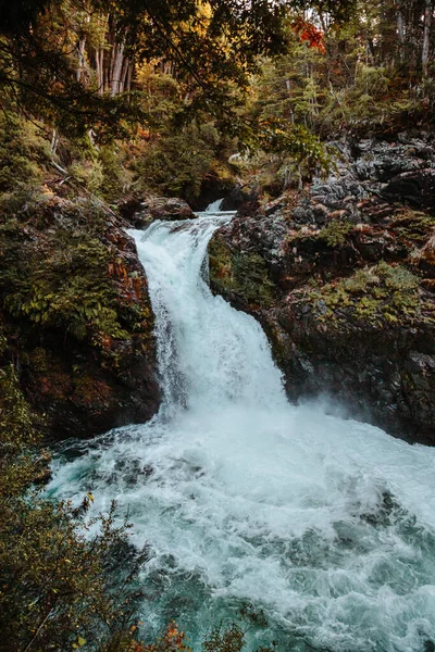 鬱蒼とした森を流れる川の垂直ショット — ストック写真