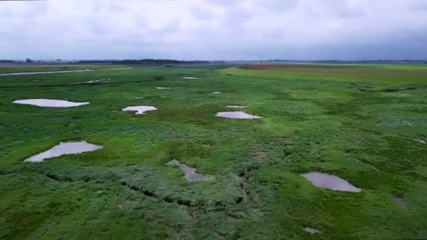 Aerial Footage Moulton Marsh River Welland Outflow Spalding Lincolnshire June — Stock Video