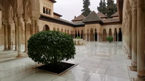 Famous Lion Fountain Court Μέσα Alhambra Palace Βρίσκεται Στη Γρανάδα — Αρχείο Βίντεο