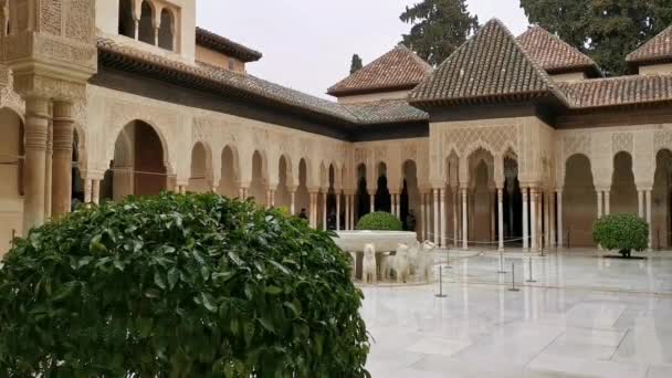 Berühmter Löwenbrunnenhof Alhambra Palast Granada Spanien — Stockvideo