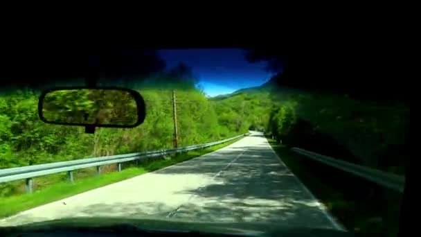 Uma Vista Carro Uma Bela Estrada Rural Cercada Pela Floresta — Vídeo de Stock