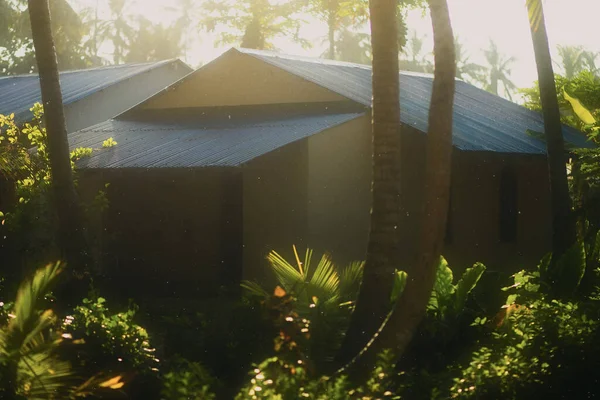 Una Pequeña Casa Una Selva Vibrante Con Sol Brillando Por — Foto de Stock