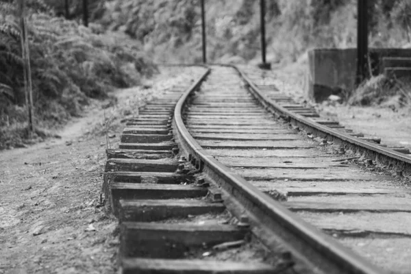 Demiryolu Raylarının Gri Tonlu Görüntüsü — Stok fotoğraf