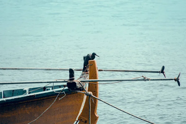 Beautiful Shot Indian Cormorant Pelican Bird Sitting Boat Sea Background — Φωτογραφία Αρχείου