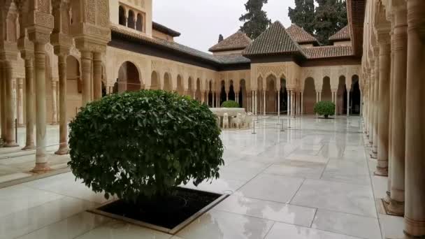 Berömda Lion Fontänen Domstol Inne Alhambra Palace Ligger Granada Spanien — Stockvideo
