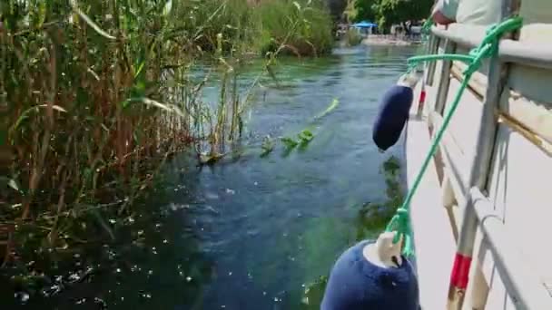 Gunwales Fenders Tourist Boat Passing Downstream Reeds Still Turquoise Water — Stockvideo