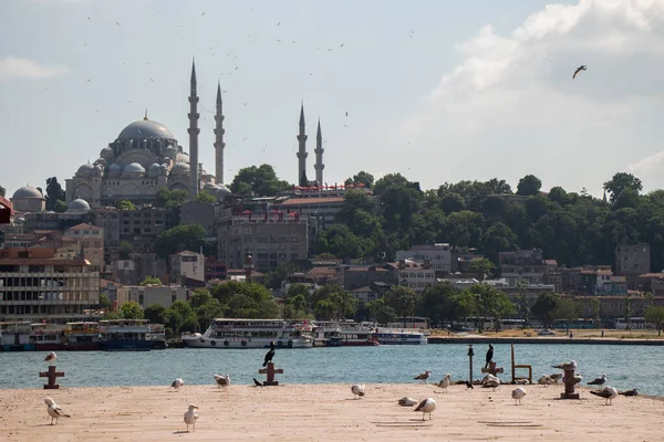 Blick Auf Die Süleymaniye Moschee Vom Goldenen Horn Istanbul Türkei — Stockfoto