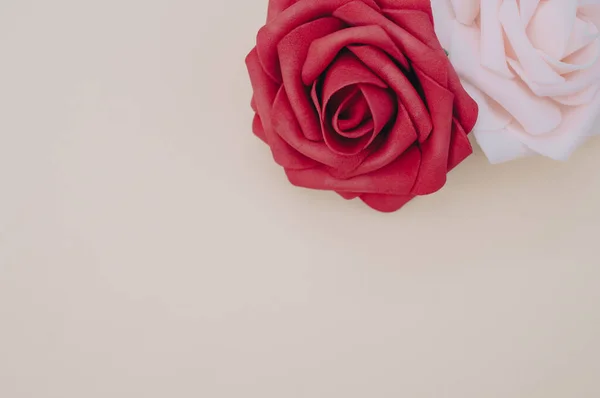 Close Rosas Vermelhas Rosa Fundo Bege Com Espaço Para Texto — Fotografia de Stock