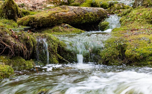 Malebný Vodopád Tekoucí Potoka Podzimním Lese — Stock fotografie
