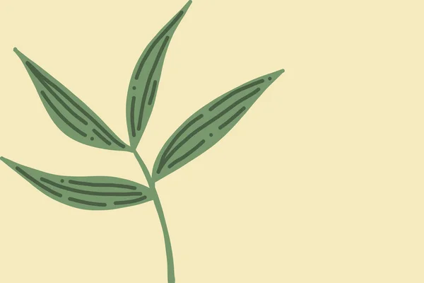 Green Plant Beige Background — 스톡 사진