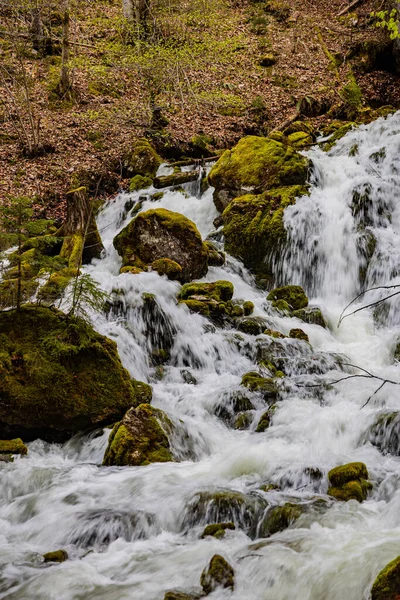 Pohled Mechem Pokryté Kameny Tekoucím Lesním Potoce — Stock fotografie