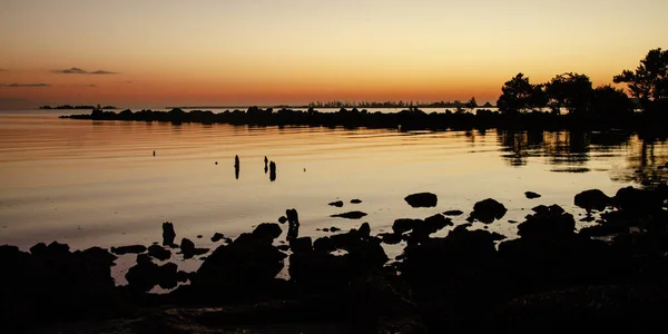 木々や岩のシルエットが美しい海岸の美しい夕日のシーン — ストック写真